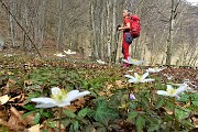 Alle spettacolari Sorgenti dell’Enna da Vedeseta di Val Taleggio l’8 aprile 2019- FOTOGALLERY